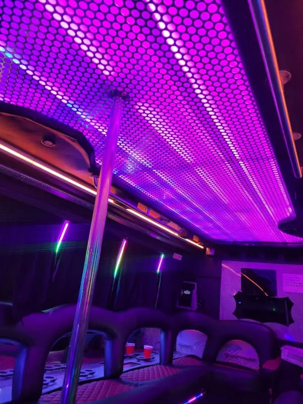 Tsunami DC party bus rental for Buzzard Point events