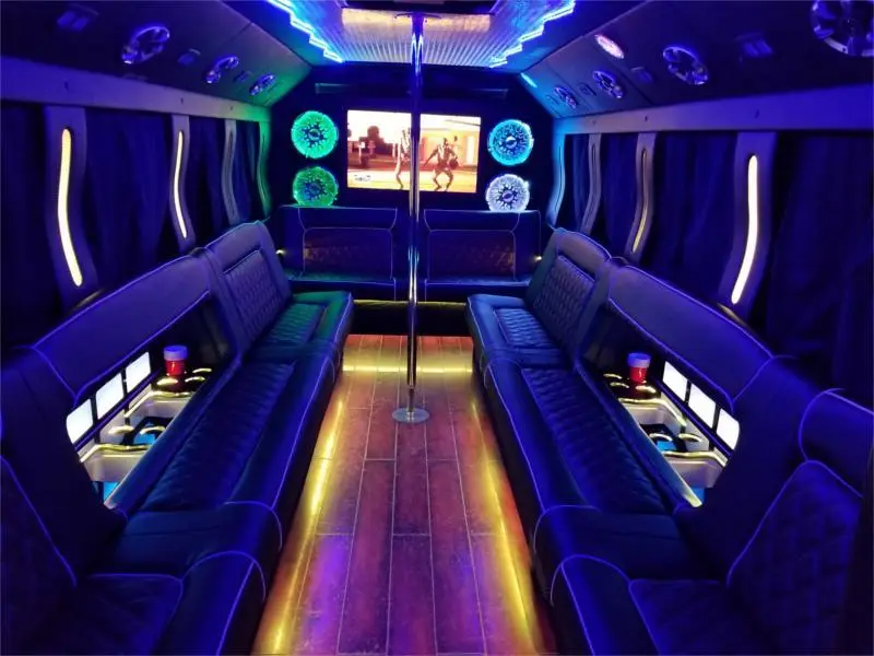 20-22 Pax Blizzard party bus