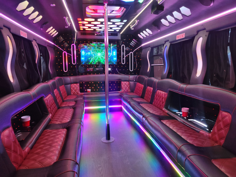 20–22 Pax Wildfire Party Bus — Just Limos party bus rental DC, Baltimore, Northern VA